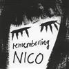 ladda ner album Various - Remembering Nico