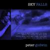 last ned album Peter Godwin - Sky Falls