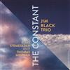 online anhören Jim Black Trio - The Constant