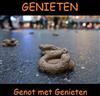 online anhören Genieten - Genot Met Genieten Demo 2013