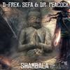 ascolta in linea DFrek, Sefa & Dr Peacock - Shambala EP