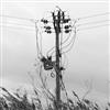 last ned album Field Recordings - 20kv Cables And Telephone Wires In High Wind 29112015