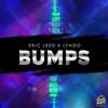 ladda ner album Eric Leed X Lvndo - Bumps