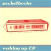 Album herunterladen Pocketbooks - Waking Up