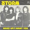 baixar álbum Storm - Wake Up