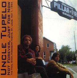 Download Uncle Tupelo - Not Forever Just For Now