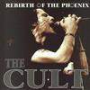 descargar álbum The Cult - Rebirth Of The Phoenix