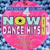 lataa albumi Various - Now Dance Hits 95 Volume 4