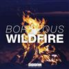 Album herunterladen Borgeous - Wildfire