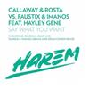 lataa albumi Callaway & Rosta Vs Faustix & ImanoS Feat Hayley Gene - Say What You Want