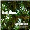 télécharger l'album Unit Blue - Costa Latina Dom Paradise Remixes