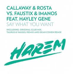 Download Callaway & Rosta Vs Faustix & ImanoS Feat Hayley Gene - Say What You Want