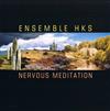 télécharger l'album Ensemble HKS - Nervous Meditation