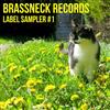 escuchar en línea Various - Brassneck Records Label Sampler 1