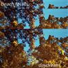 ascolta in linea Beach Fossils - Daydream